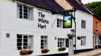 White Hart Hotel - image 1