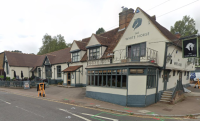 The White Horse - image 1