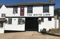 The White Lion - image 1