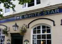The White Star - image 1