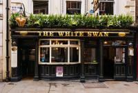 White Swan - image 1