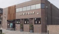The Wild Boar - image 1