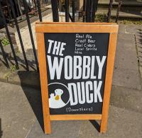 Wobbly Duckling - image 1