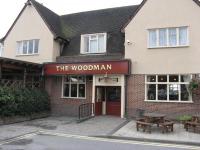 The Woodman - image 1