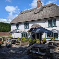 THE WOOLPACK - image 1
