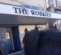 The Workies - image 1